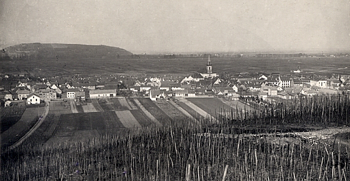 Wintzenheim 1916